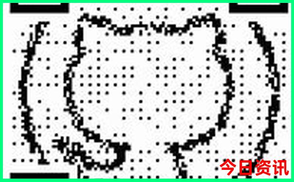 七都有什么好玩的地方和景点